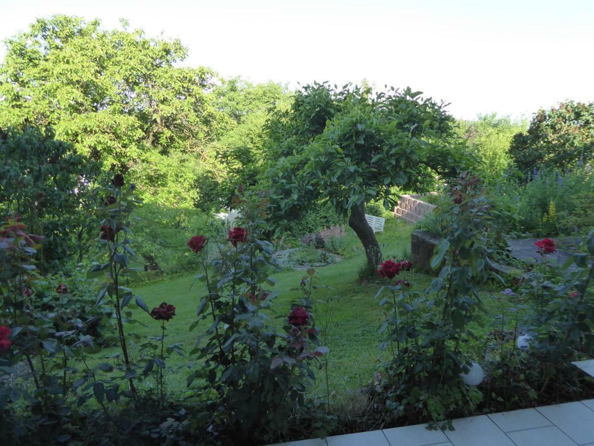 Ferienwohnung Dora 1 Michelstadt Dış mekan fotoğraf